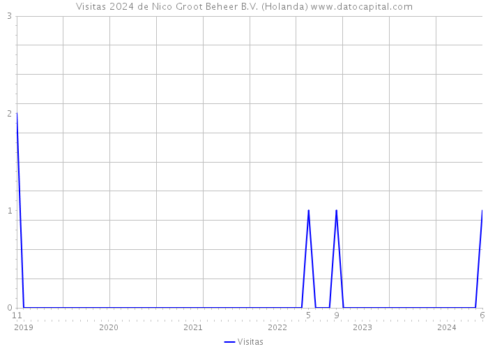 Visitas 2024 de Nico Groot Beheer B.V. (Holanda) 