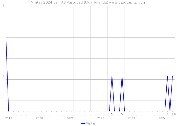 Visitas 2024 de HAS Vastgoed B.V. (Holanda) 