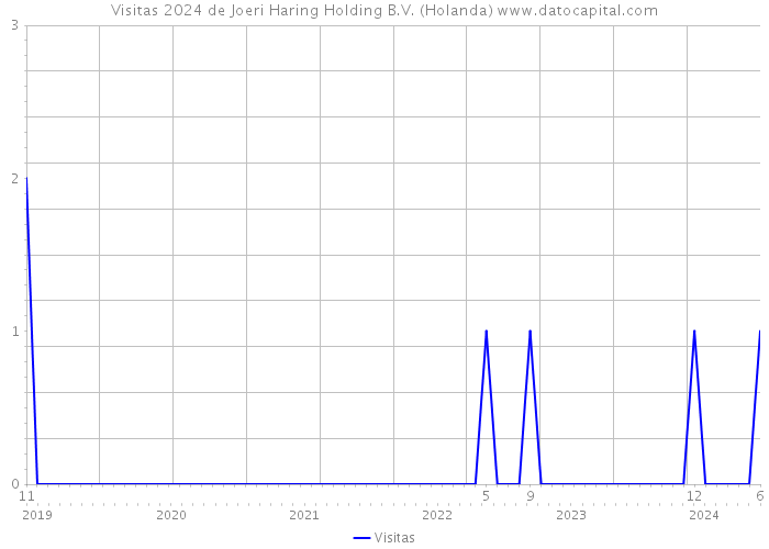 Visitas 2024 de Joeri Haring Holding B.V. (Holanda) 