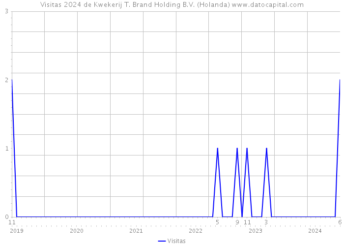 Visitas 2024 de Kwekerij T. Brand Holding B.V. (Holanda) 