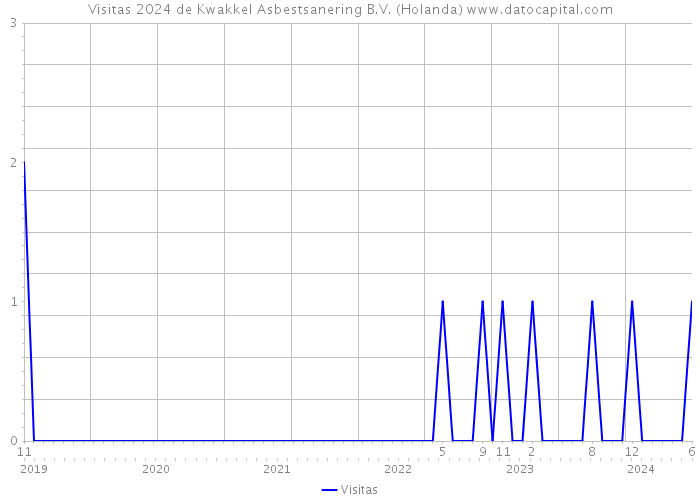 Visitas 2024 de Kwakkel Asbestsanering B.V. (Holanda) 