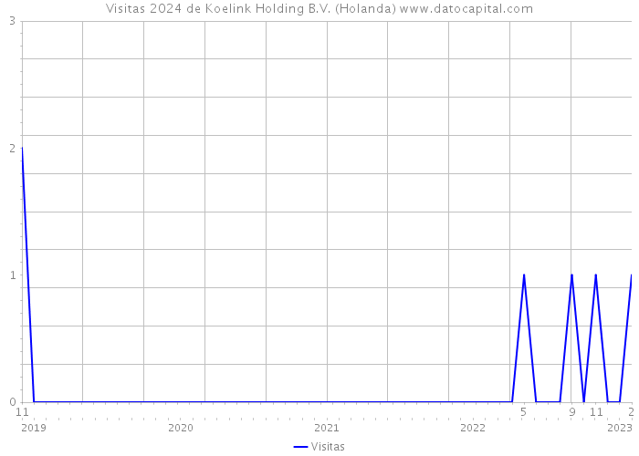 Visitas 2024 de Koelink Holding B.V. (Holanda) 