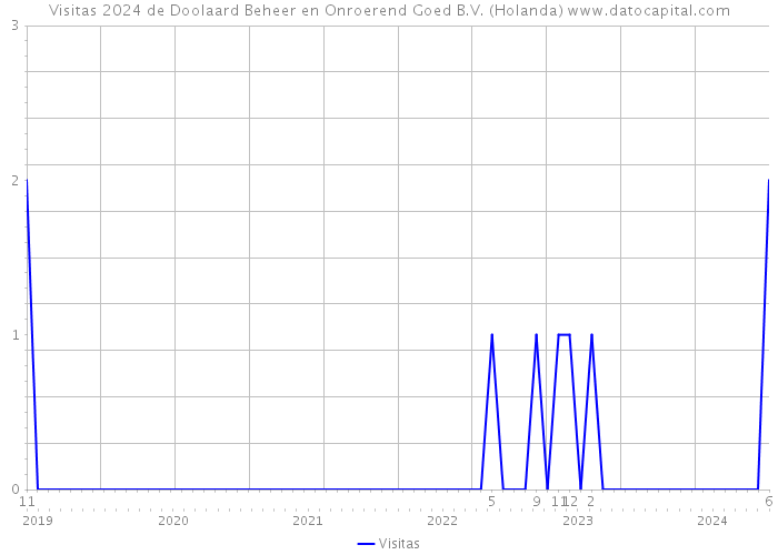 Visitas 2024 de Doolaard Beheer en Onroerend Goed B.V. (Holanda) 