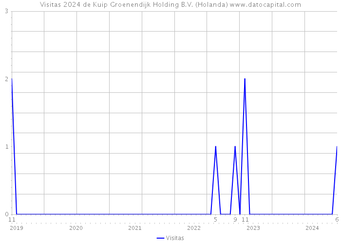 Visitas 2024 de Kuip Groenendijk Holding B.V. (Holanda) 