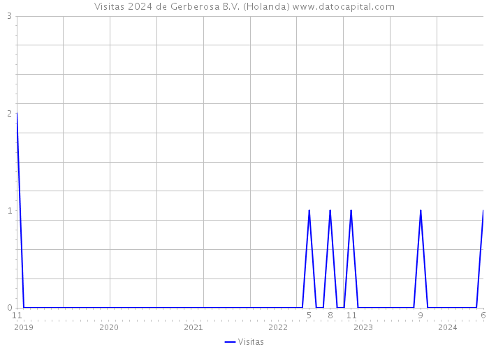 Visitas 2024 de Gerberosa B.V. (Holanda) 