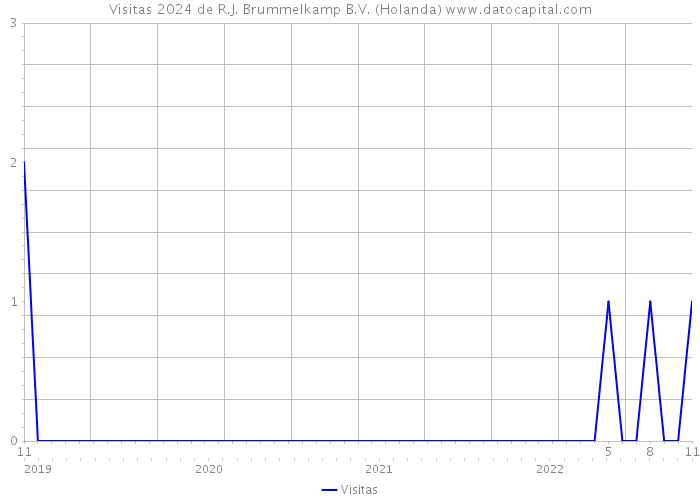 Visitas 2024 de R.J. Brummelkamp B.V. (Holanda) 