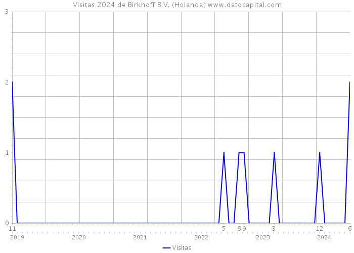 Visitas 2024 de Birkhoff B.V. (Holanda) 