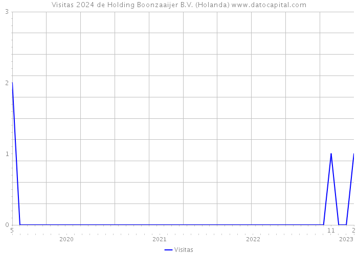 Visitas 2024 de Holding Boonzaaijer B.V. (Holanda) 