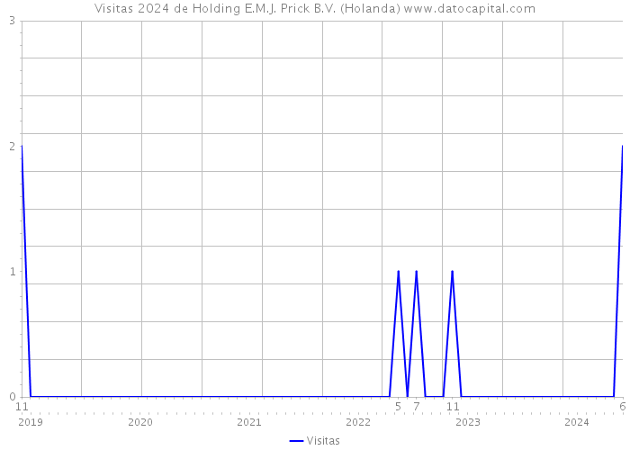 Visitas 2024 de Holding E.M.J. Prick B.V. (Holanda) 