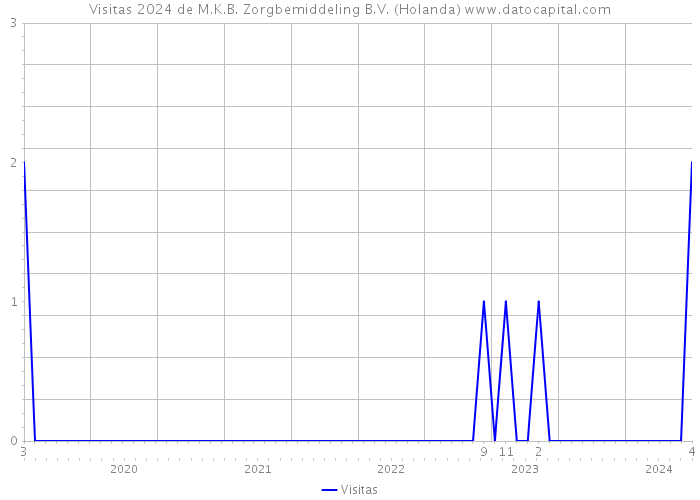 Visitas 2024 de M.K.B. Zorgbemiddeling B.V. (Holanda) 