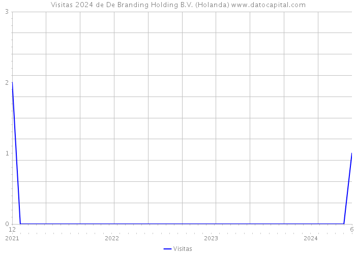 Visitas 2024 de De Branding Holding B.V. (Holanda) 