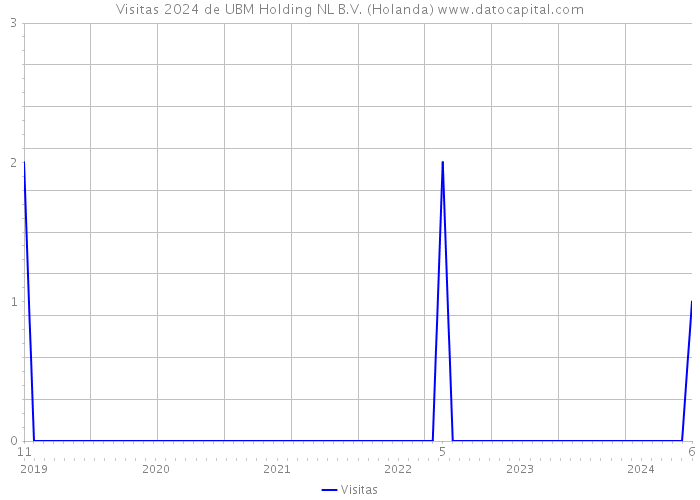 Visitas 2024 de UBM Holding NL B.V. (Holanda) 