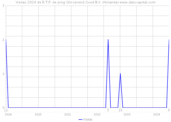 Visitas 2024 de R.T.P. de Jong Onroerend Goed B.V. (Holanda) 