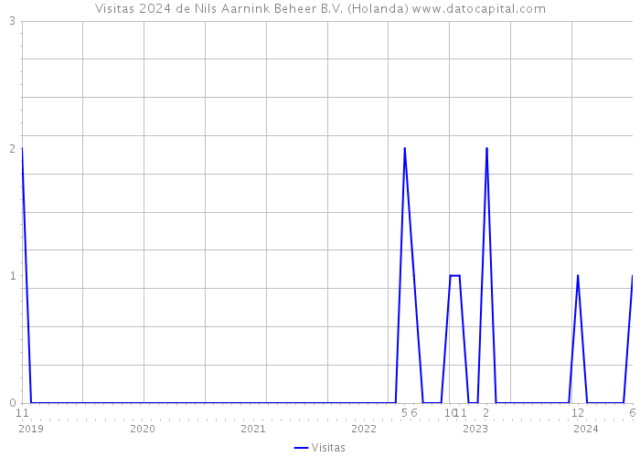 Visitas 2024 de Nils Aarnink Beheer B.V. (Holanda) 