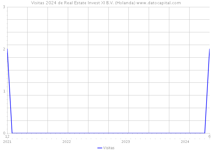 Visitas 2024 de Real Estate Invest XI B.V. (Holanda) 