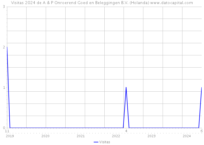 Visitas 2024 de A & P Onroerend Goed en Beleggingen B.V. (Holanda) 