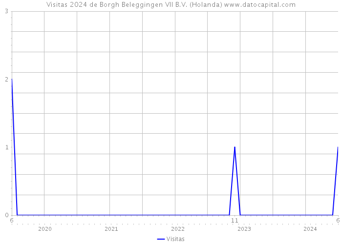 Visitas 2024 de Borgh Beleggingen VII B.V. (Holanda) 
