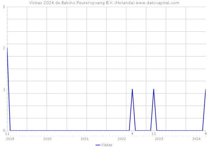 Visitas 2024 de Babino Peuteropvang B.V. (Holanda) 