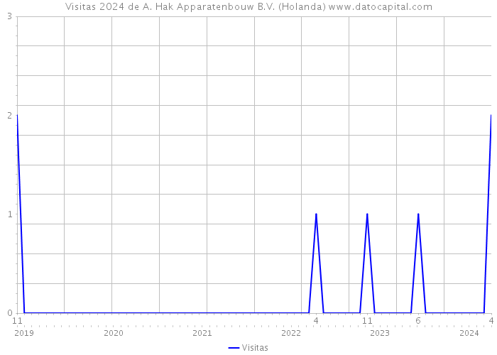 Visitas 2024 de A. Hak Apparatenbouw B.V. (Holanda) 