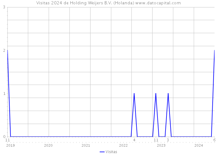 Visitas 2024 de Holding Weijers B.V. (Holanda) 