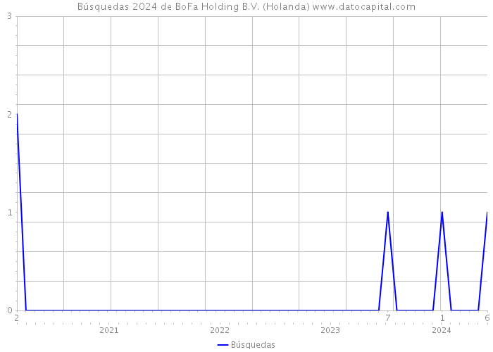 Búsquedas 2024 de BoFa Holding B.V. (Holanda) 