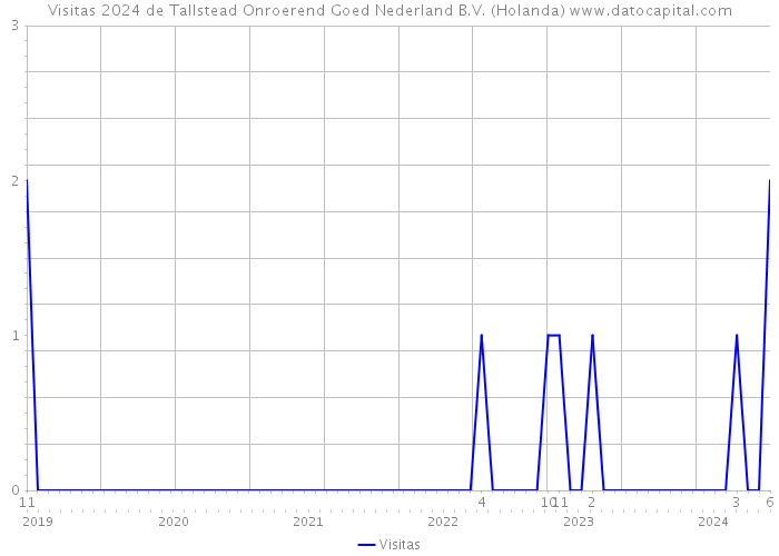 Visitas 2024 de Tallstead Onroerend Goed Nederland B.V. (Holanda) 