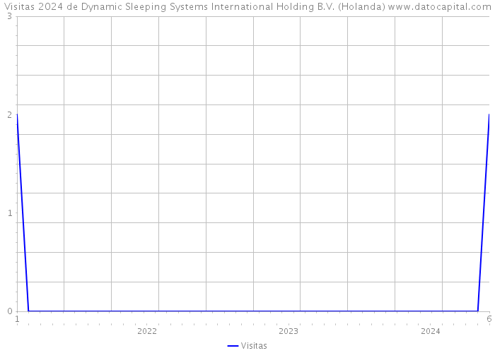 Visitas 2024 de Dynamic Sleeping Systems International Holding B.V. (Holanda) 