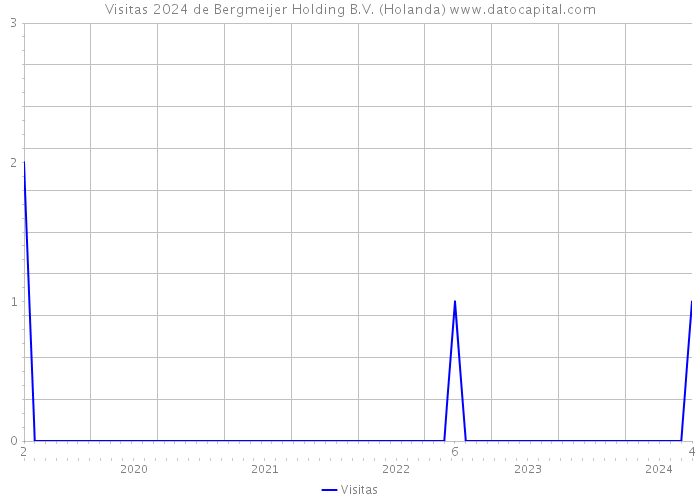 Visitas 2024 de Bergmeijer Holding B.V. (Holanda) 