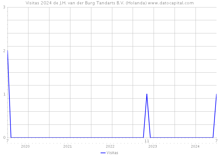 Visitas 2024 de J.H. van der Burg Tandarts B.V. (Holanda) 