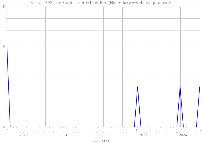 Visitas 2024 de Boudestein Beheer B.V. (Holanda) 