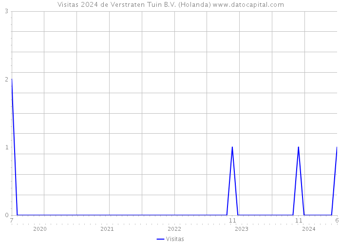 Visitas 2024 de Verstraten Tuin B.V. (Holanda) 