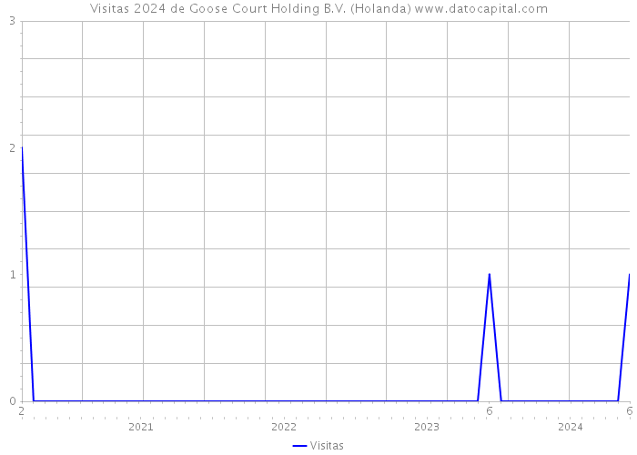Visitas 2024 de Goose Court Holding B.V. (Holanda) 