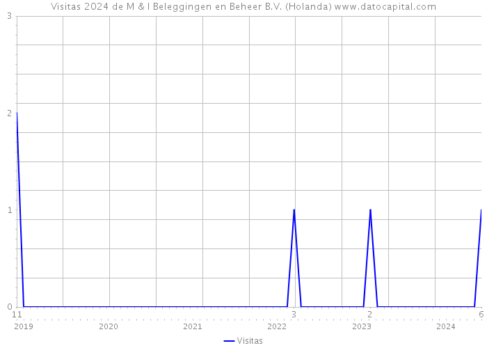 Visitas 2024 de M & I Beleggingen en Beheer B.V. (Holanda) 