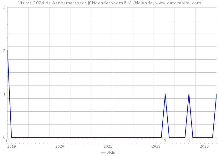 Visitas 2024 de Aannemersbedrijf Hoenderboom B.V. (Holanda) 