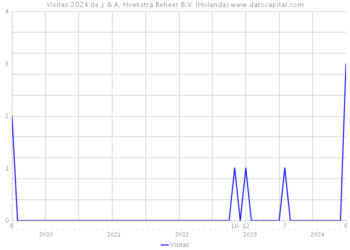 Visitas 2024 de J. & A. Hoekstra Beheer B.V. (Holanda) 