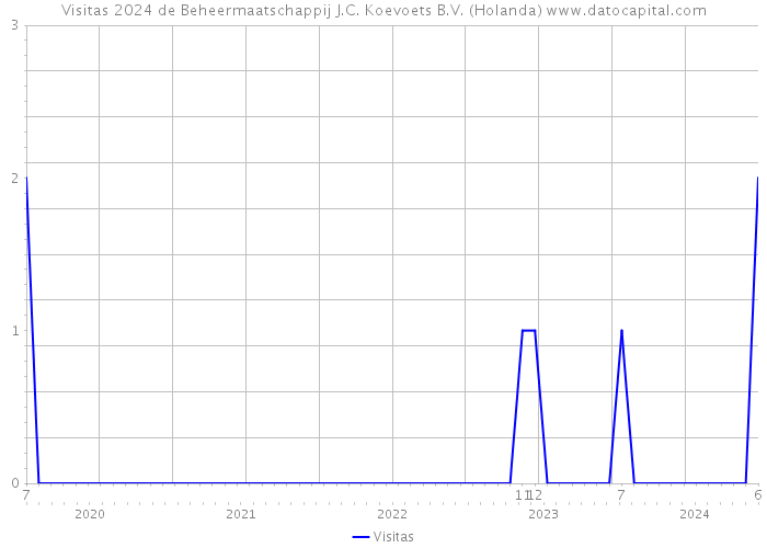 Visitas 2024 de Beheermaatschappij J.C. Koevoets B.V. (Holanda) 