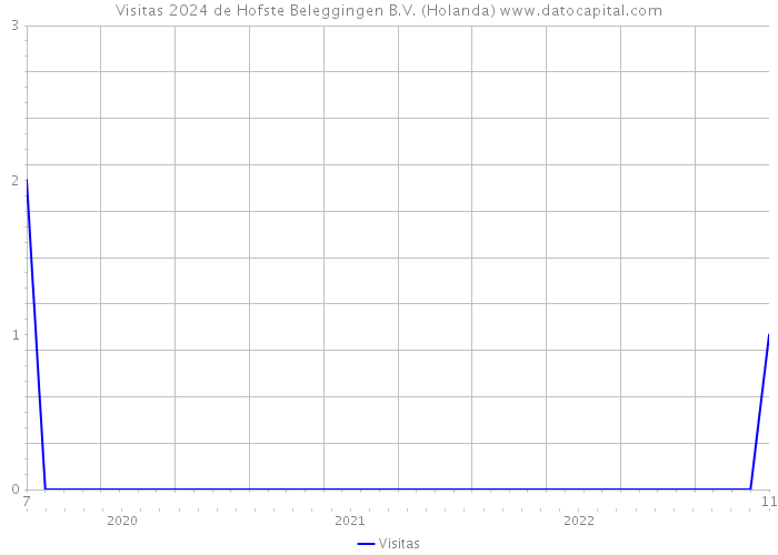 Visitas 2024 de Hofste Beleggingen B.V. (Holanda) 