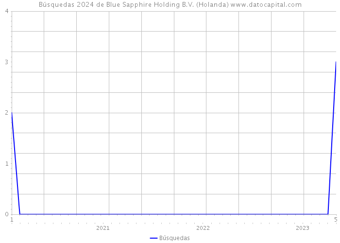Búsquedas 2024 de Blue Sapphire Holding B.V. (Holanda) 