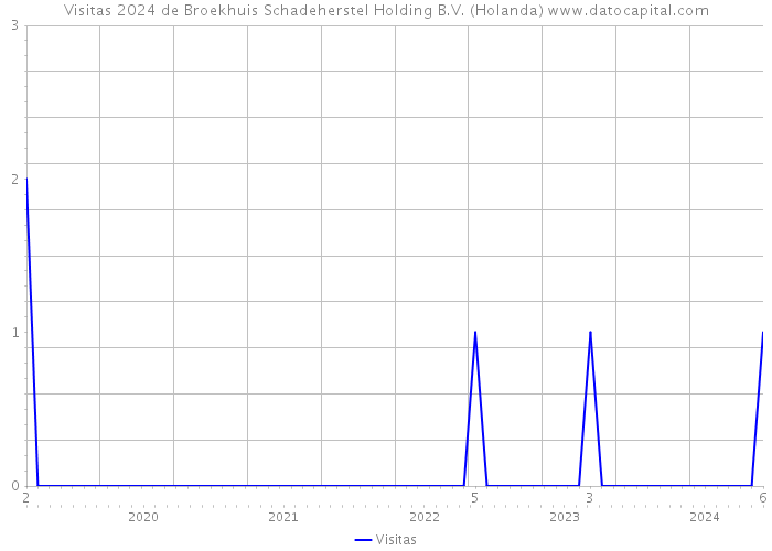 Visitas 2024 de Broekhuis Schadeherstel Holding B.V. (Holanda) 