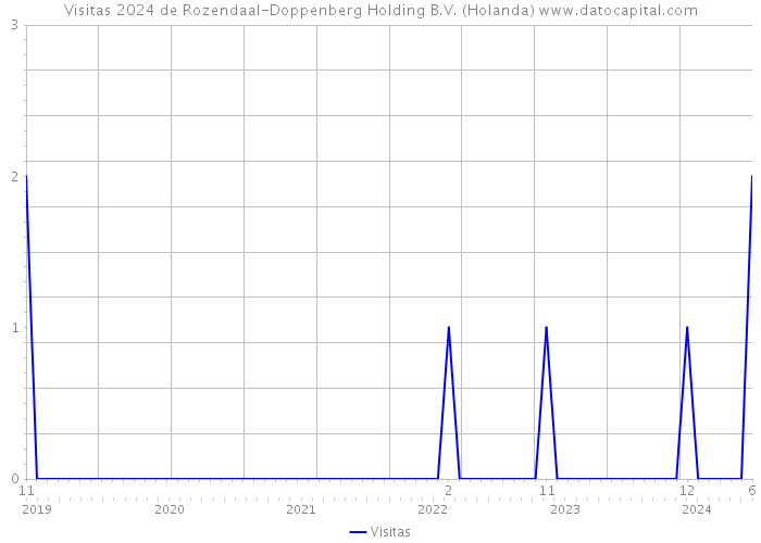 Visitas 2024 de Rozendaal-Doppenberg Holding B.V. (Holanda) 