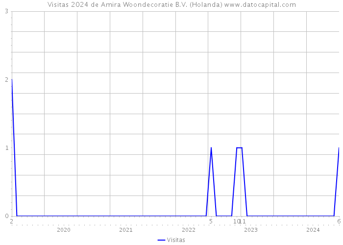 Visitas 2024 de Amira Woondecoratie B.V. (Holanda) 