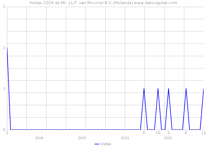 Visitas 2024 de Mr. J.L.F. van Moorsel B.V. (Holanda) 