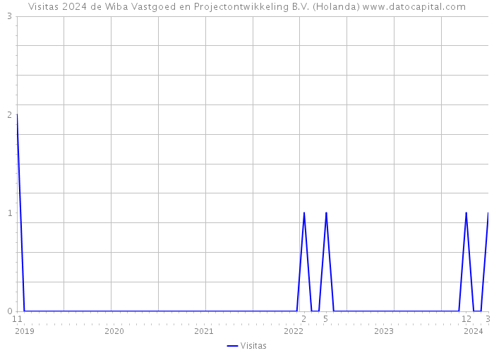 Visitas 2024 de Wiba Vastgoed en Projectontwikkeling B.V. (Holanda) 