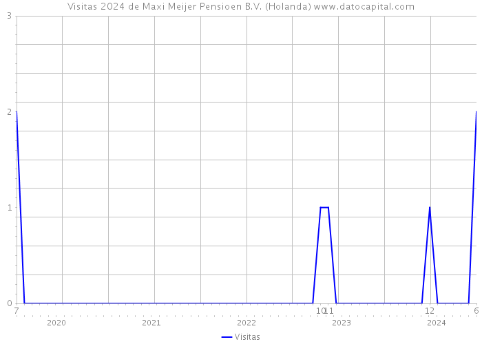 Visitas 2024 de Maxi Meijer Pensioen B.V. (Holanda) 