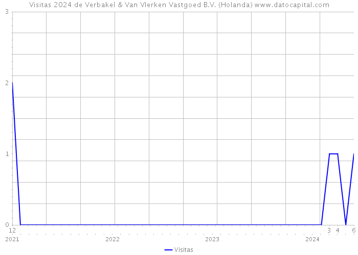 Visitas 2024 de Verbakel & Van Vlerken Vastgoed B.V. (Holanda) 