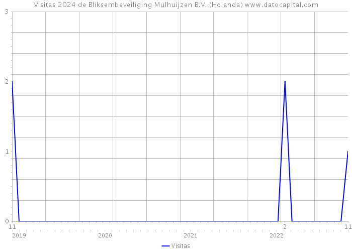 Visitas 2024 de Bliksembeveiliging Mulhuijzen B.V. (Holanda) 
