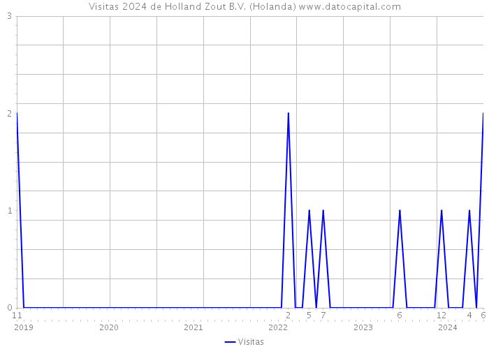 Visitas 2024 de Holland Zout B.V. (Holanda) 