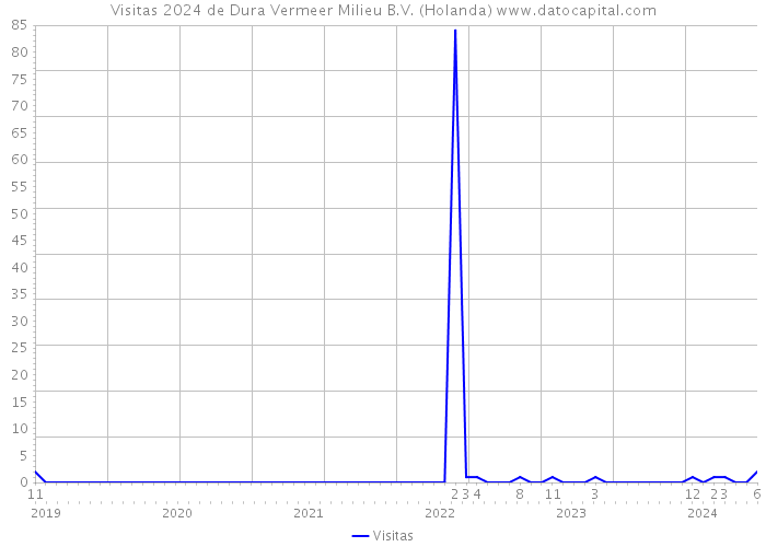 Visitas 2024 de Dura Vermeer Milieu B.V. (Holanda) 