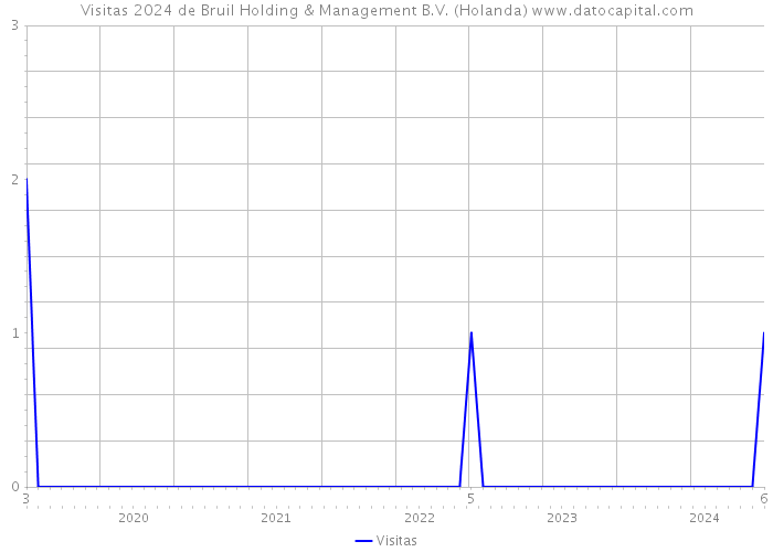 Visitas 2024 de Bruil Holding & Management B.V. (Holanda) 