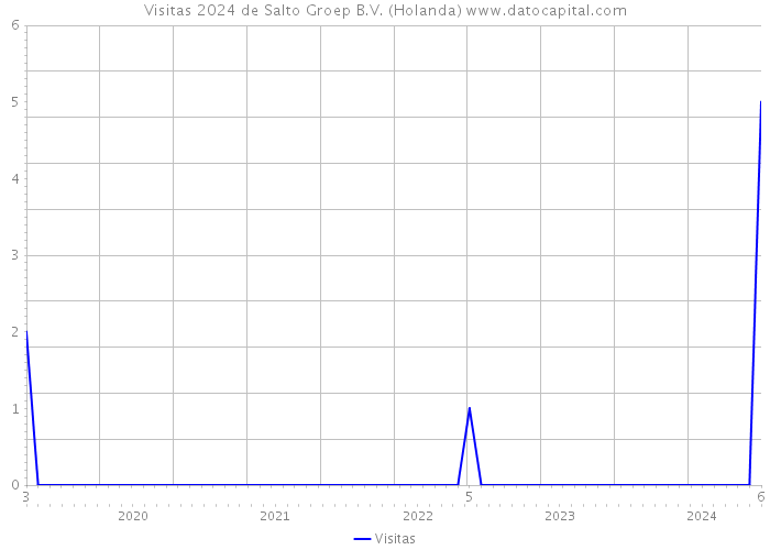 Visitas 2024 de Salto Groep B.V. (Holanda) 